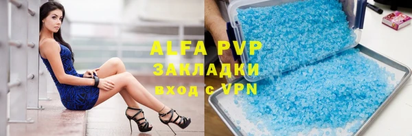 прущие грибы Елабуга