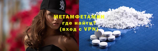 прущие грибы Елабуга