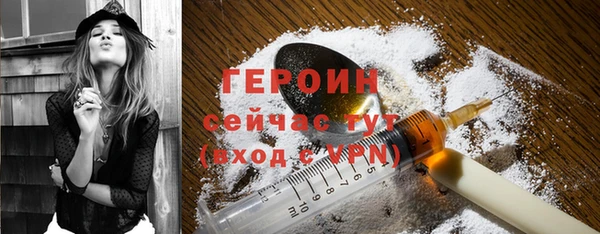 прущие грибы Елабуга