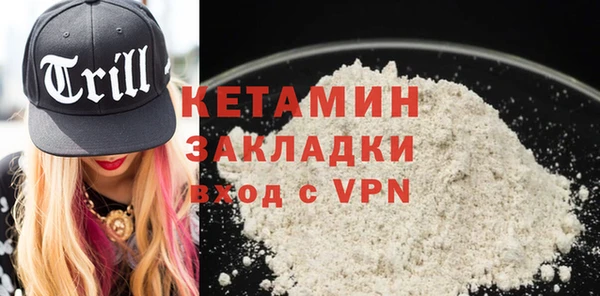 прущие грибы Елабуга