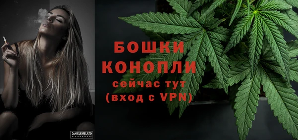 винт Касимов