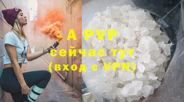 прущие крисы Каменногорск