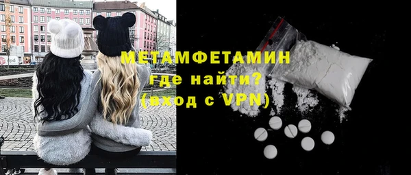 прущие грибы Елабуга