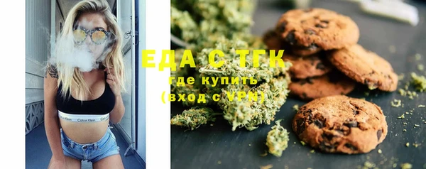 прущие грибы Елабуга